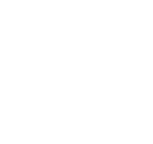 Squidnet logo
